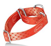 Axdvk Martingale Dog Collar Colorful Gradient Fashionable - Anti-Escape Soft Durable Pets Collar for Walking Training Outdoor Daily Use -Medium,Aurora Fire