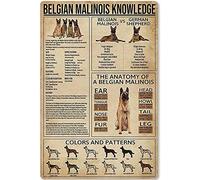 AXHNG Vintage Belgian Malinois Knowledge Garden Shopping Mall Poster Metal Aluminium Tin Sign 12x16 Inch Wall Decor