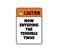 AXHNG Vintage Caution Now Entering The Terrible Twos Idea Poster Metal Aluminium Tin Sign 8x6 Inch Wall Decor
