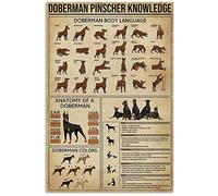 AXHNG Vintage Doberman Pinscher Knowledge Body Language Colors Poster Metal Aluminium Tin Sign 12x16 Inch Wall Decor