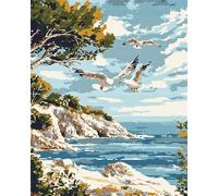 AxiangziK 11CT Counted Cross Stitch kit DIY,A Flock of Flying Seagulls,New Counted Cross Stitch Kits for Beginners Advanced,Handmade Christmas Gifts,16x20inch