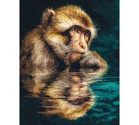 AxiangziK 11CT DIY Counted Cross Stitch Kits for Adults Monkeys On The Water Counted Cross Stitch Kits for Adults Beginners, Stamped Printed Patterns Embroidery Set for Wall Art Decor 30x40cm
