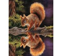 AxiangziK 11CT DIY Embroidery Kits for Adults Squirrel and Its Reflection in The Water Pre-Printed Embroidery Set DIY Hand Needlework Art Stamped Cross Stitch Kits for Beginners 40x50cm