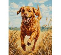 AxiangziK 12x16 Inch Cross Stitch Kit,Dog Running Through the Grass 30x40cm Pre Printed Embroidery Kit for Adults,DIY Needlepoint Wall Art Home Decor