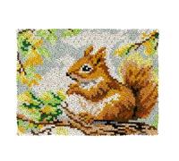 AxiangziK Animal DIY Latch Hook Kits for Adults Cartoon Squirrel DIY Latch Hook Rug Set,Carpet Making Kit，Cross Stitch Embroidery Kits Needlework Crafts 20x15in