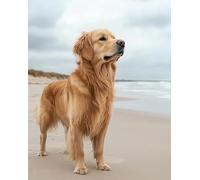 AxiangziK Animal Dog Pre Printed Cross Stitch Kits for Adults 11CT,Golden Retriever Beach Landscape,Beginners Cross Stitch kit,DIY Handmade Needlework kit,40x50cm