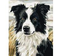AxiangziK DIY Crafts Cross Stitch Kits for Beginners,Border Collie in the Grass 16x20in Pre Printed 11ct,DIY Stamped Embroidery Starter Kit for Adults Easy Sewing Set Home Decor