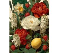 AxiangziK DIY Cross Stitch Kits Fruits and Flowers 11CT 30x40cm
