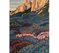 AxiangziK DIY Printed Cross Stitch Kit Colorful Flowers 11CT 30x40cm