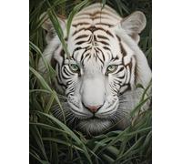AxiangziK DIY Stamped Cross Stitch Kit Fantasy White Tiger 11CT 30x40cm