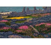 AxiangziK DIY Stamped Cross Stitch Kit Seaside Flowers 11CT 50x70cm