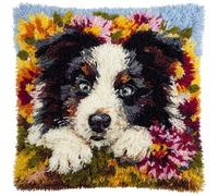 AxiangziK Flower Landscape Latch Hook Pillow Case Kits,Border Collie Dog,Latch Hook Kit for Adults,DIY Pillow Cover Cushion,Canvas Creativity Crochet Gift,17x17in