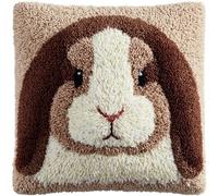 AxiangziK Latch Hook Pillow Case Kits,Animal Rabbit,Latch Hook Kit for Adults,DIY Pillow Cover Cushion,Canvas Creativity Crochet Gift,17x17in