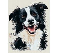 AxiangziK Pre Printed Cross Stitch Kits for Adults,11CT,Animal Dog,Border Collie,Stamped Embroidery Kits,DIY Wall Art Decor for Beginners Kids,40x50cm