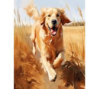 AxiangziK Pre Printed Cross Stitch Kits for Adults Golden Retriever Dog Running On The Grass,Stamped Embroidery Kits,DIY Wall Art Decor for Beginners Kids,16x20inch