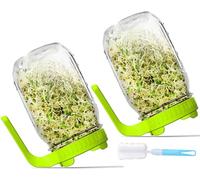 Axim Sprouts Growing Kit,Wide Mouth Mason Jars with Upgrade Screen Sprout Lids,1000ml /32oz Sprouting Jar Kit,Seed Sprouter Set for Growing Broccoli, Alfalfa, Mung Bean (Green)