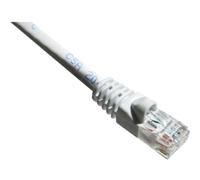 Axiom 100ft Cat6a 650mhz Patch Cable Mboot-taa