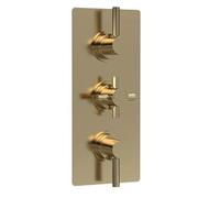 Axiom 2 Outlet Triple Handle Thermostatic Shower Valve Brushed Brass | Brushed Brass, Rectangular, Three Handles, +/- 2-3 Degrees, 0.1 Bar Minimum, 1/2 BSP, Reversible Cartridge