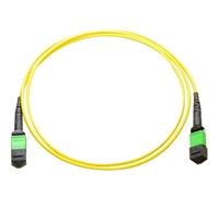Axiom 50M - MPO MALE/MPO MALE