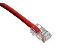 Axiom Cat6, 5ft - networking cables (5ft, Cat6, U/UTP (UTP), RJ-45, RJ-45, Male/Male, Gold)