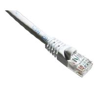Axiom Cat6a 10ft - networking cables (RJ-45, RJ-45, Male/Male, Gold, 10GBase-T, Cat6a)