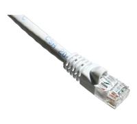 Axiom Memory Solutionlc 100ft Cat5e 350mhz Patch