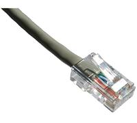 Axiom patch cable - 10 ft - gray