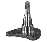Axle Beam Kingpin - Rear Lh FEBI Fits: VOLKSWAGEN JETTA