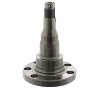 Axle Beam Kingpin - Rear Lh/rh FEBI Fits: AUDI COUPE