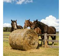 AxleyHub 6x6ft Polyester Round Bale Hay Net Knotless Slow Feed Hay Net with 1 3/4" Holes and 5mm Thick, for Round Bales 4x4-6x6/square Bales 3x3x8-4x4x8, with 66ft Repair Rope Weaving Needle Shuttle