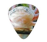 Axolotl,12 Pcs Guitar Pick,3 Different Thickness Plectrums for Acoustic Guitar Bass Ukulele (0.46mm 0.96mm 0.71mm)