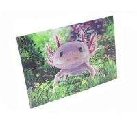 Axolotl 3D Postcard Wobble Card Hologram Card Animal Newt Water Animals