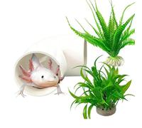 Axolotl Cave with Tube Small Decorative House