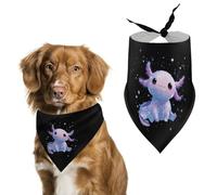 Axolotl Galaxy Ice Snowy Dog Bandana Pet Scarf for Small Medium Large Dogs Triangle Bibs Photo Prop Gift