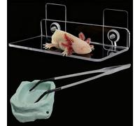 Axolotl Hammock Ledge for Aquarium with Feeding Dish and Feeding Tweezers，Axolotl Hammock with Ceramic Tray Feeder Bowl, Axolotls Accessories for Tank, Bearded Dragon Tank Accessories (7.8x3.9in)