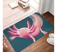 Axolotl Lover Walking Fish Bathroom Carpet Pink Bedroom Mat Welcome Doormat 30x18 Inch
