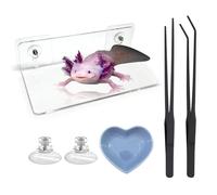 Axolotl Tank Accessories