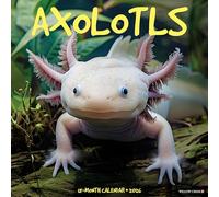 Axolotls 2026 12 X 12 Wall Calendar