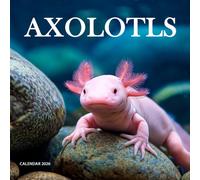 Axolotls 2026 Calendar: A Year of Adorable Axolotl Photography Celebrating Color, Calm & Curiosity
