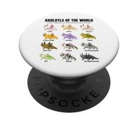 Axolotls of the World Educational Amphibian Species Chart PopSockets Adhesive PopGrip
