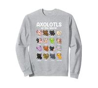 Axolotls of the world Sweet Animals Kawaii Axolotl Sweatshirt