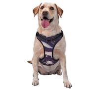 Axolotls,Pet Harness,Adjustable Reflective Dog Harness,Pet Leash Vest,S