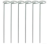 Axorafow 6 Pack Plant Climbing Brackets, 35cm and 40cm Iron Garden Stakes Indoor Outdoor Use, Support Frame Vines Flowers Patios(40CM)
