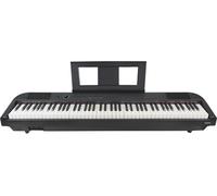 AXUS AXD55 88-Key Digital Piano with Touch Sensitive Keys & Sustain Pedal - Black, Black