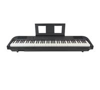 Axus AXD55 88 Note Digital Stage Piano, Black