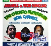 Axwell & Bob Sinclar - What a Wonderful World [12" VINYL]