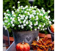 AXYLEX Artificial Flowers for Outdoors Fake Plants - 12 PCS Bundles Outside Face Spring Greenery UV Resistant No Fade Faux Bushes Daffodils Shrubs Home Garden Porch Patio Decoration Window Box(White)