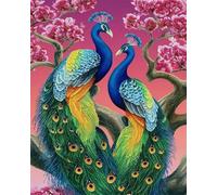 AYAOYANGGO Animal DIY Seed Bead Embroidery Kits Fantasy Peacock Bead Embroidery Kit for Adults Needlepoint Tapestry Set Beaded Stitching 50x60cm