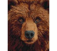 AYAOYANGGO Animal Tapestry Kitcartoon Bear Latch Hook Rug Kits for Adults Beginners DIY Craft Doormat Carpet Making Kit Apestry Gift Home Decorations 23x35in