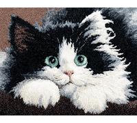 AYAOYANGGO DIY Animal Rug Making Kit Black and White Cat Latch Hook Kits Rugs Large for Adults Beginners,DIY Crochet Set,Tapestry Making Kit,Embroidery Sofa Cushion Carpet 23x16in